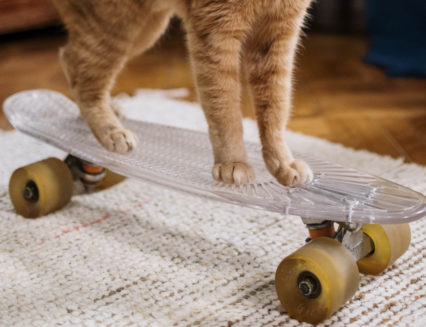 Cats on skateboards? That’s what blocklists could drive us to: The Media Roundup